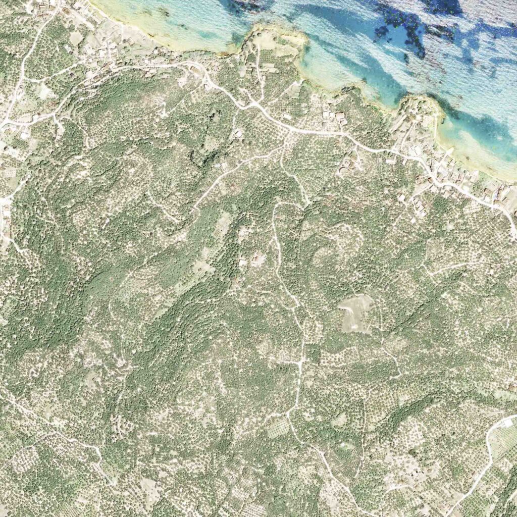 Kastelia